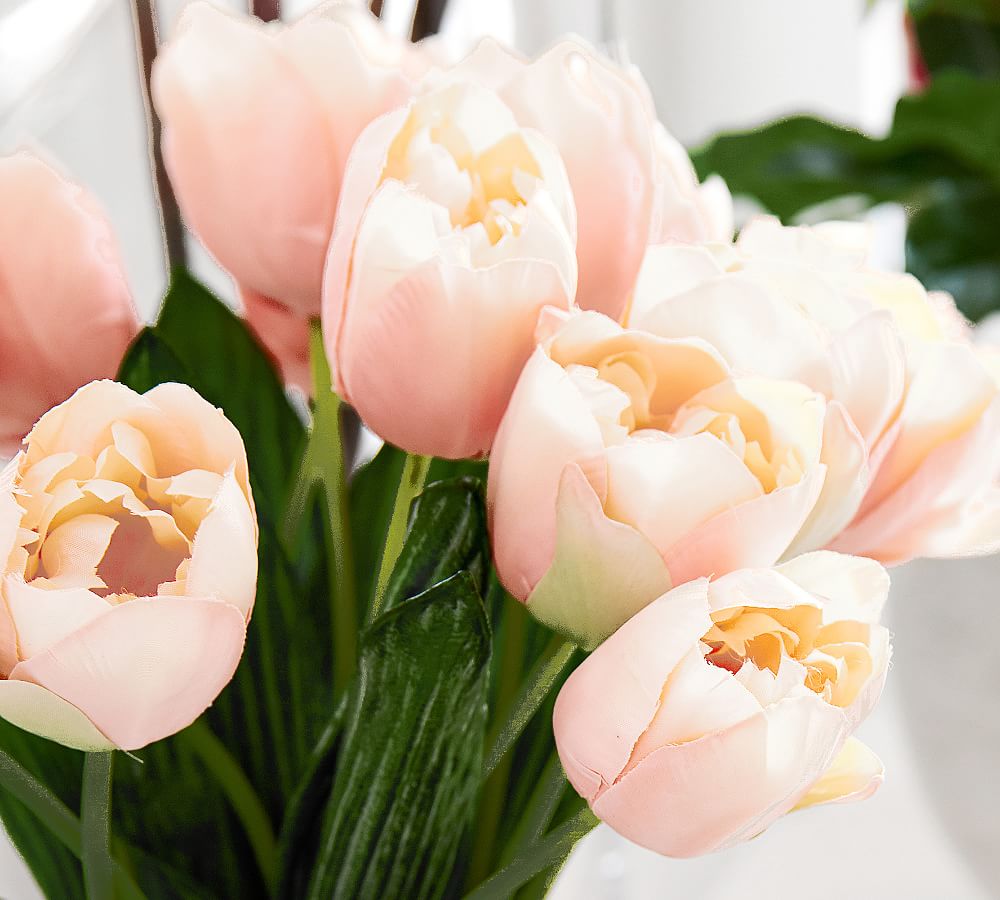 Faux Early Bloom Tulip Bouquet Pottery Barn
