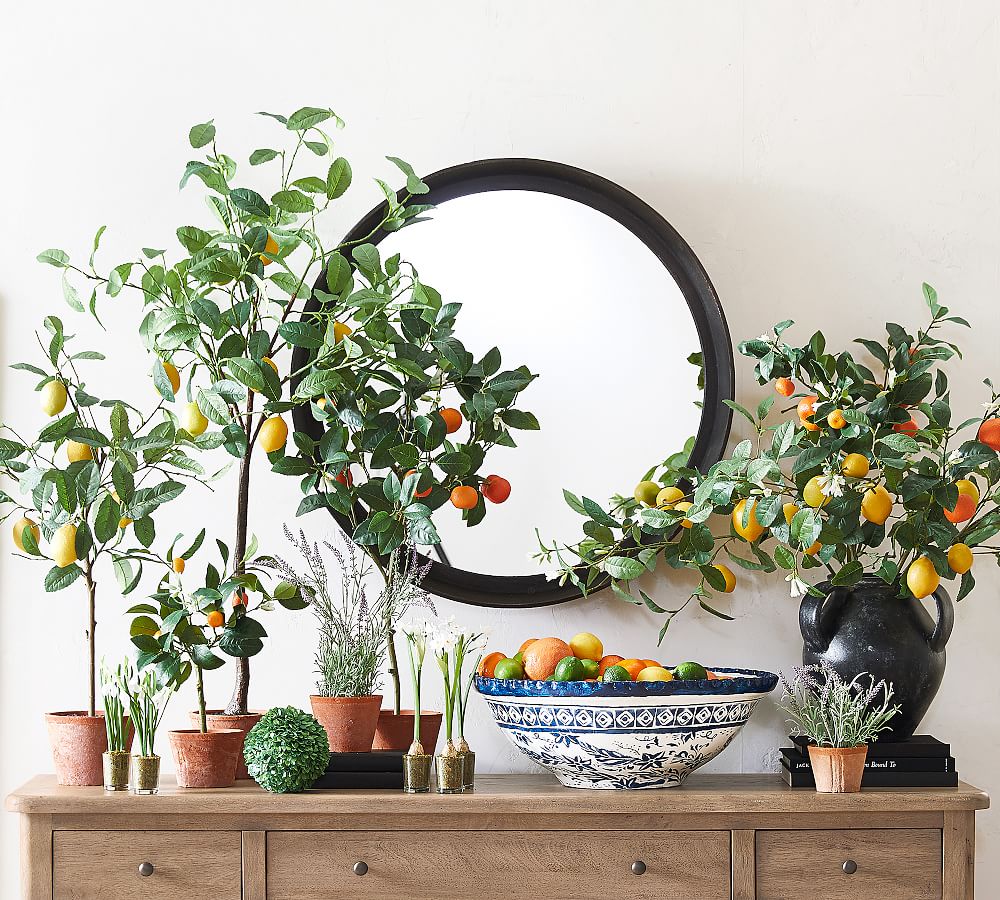 Faux Citrus Plant Collection Pottery Barn