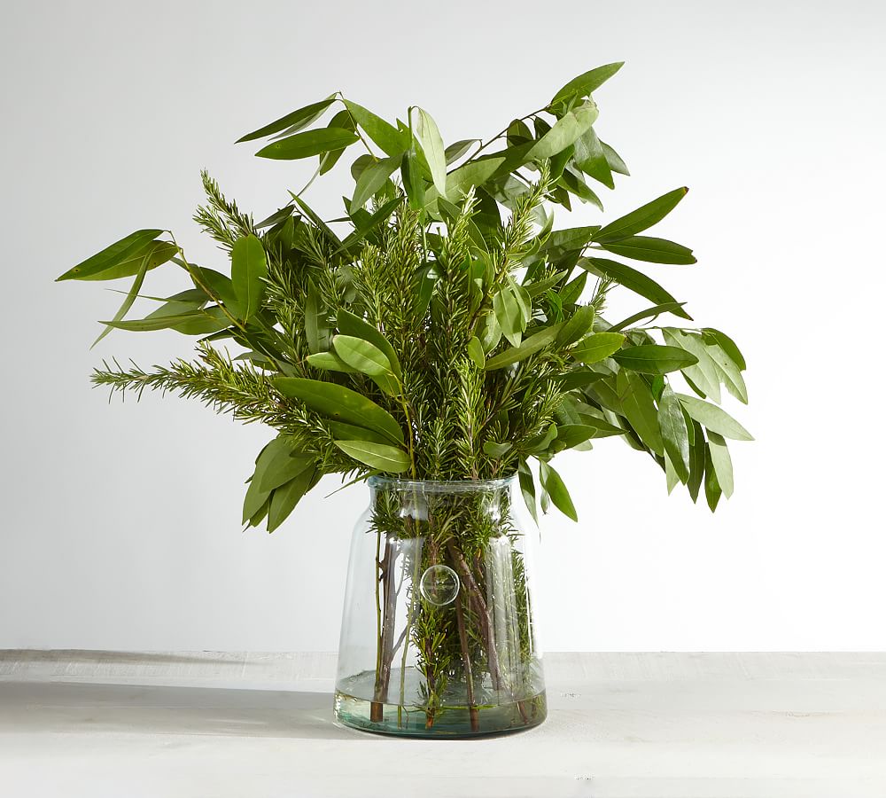 Live Bay Leaf & Rosemary Bunches Pottery Barn