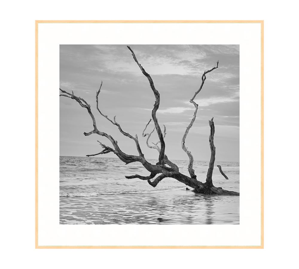 Pottery Barn Bull's Island Vertical Print By Lannie Hall | The Summit