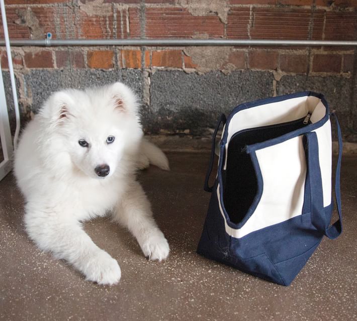 Personalized Pet Canvas Carrier