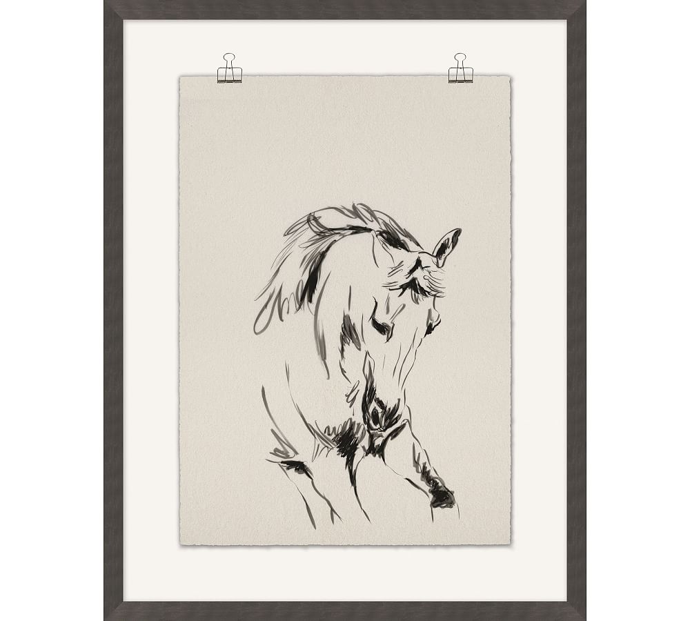 Equestrian Drawing Framed Print