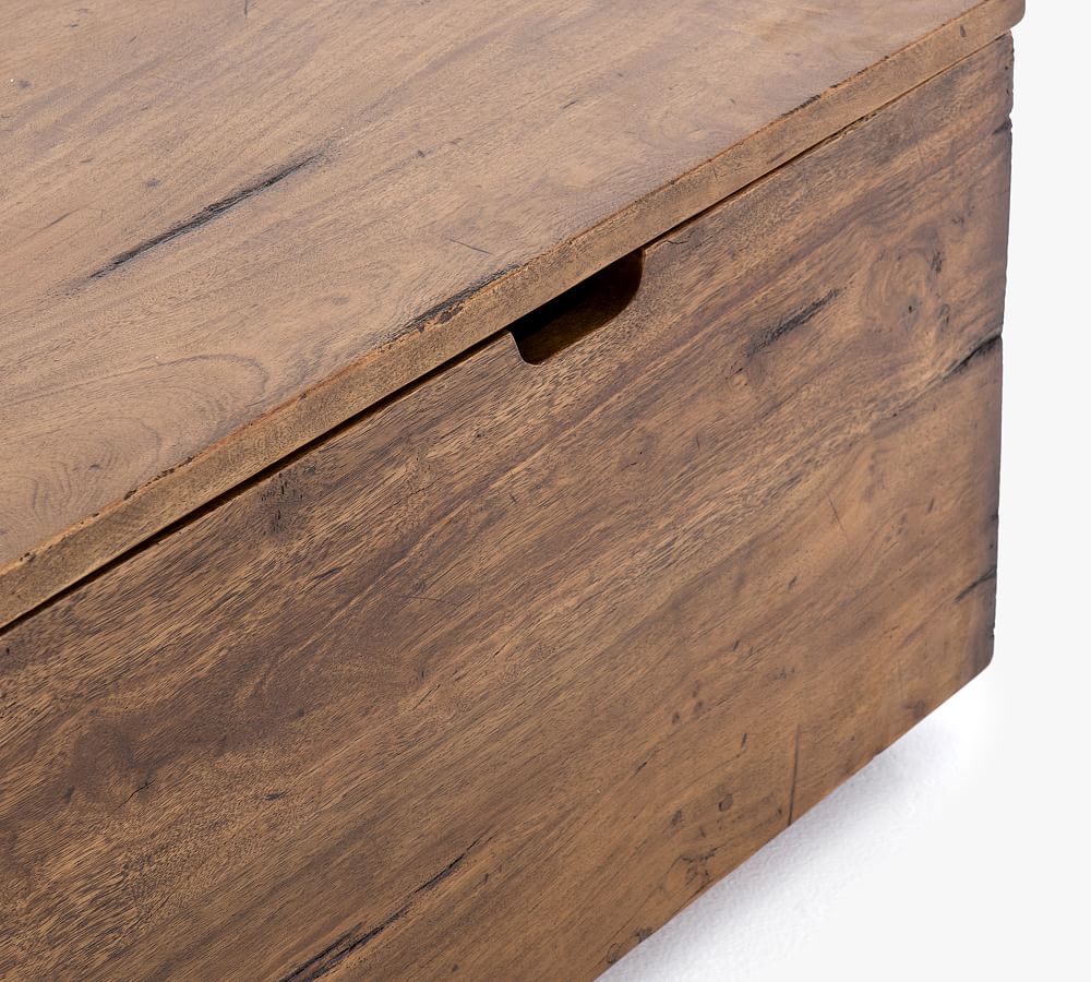 Parkview Reclaimed Wood Trunk Pottery Barn