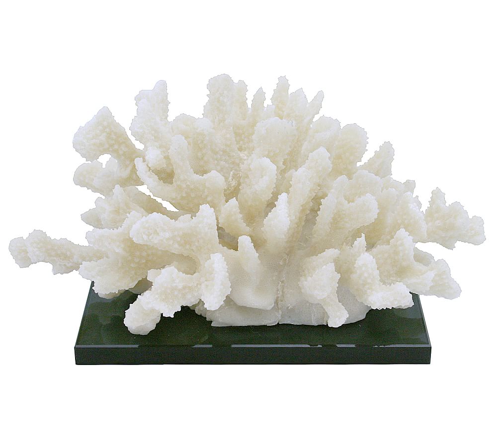 Cluster Coral On Black Glass Base | Pottery Barn