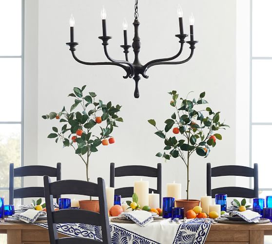 Faux Citrus Plant Collection Pottery Barn