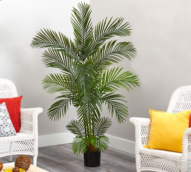 Faux Areca Palm Trees | Pottery Barn