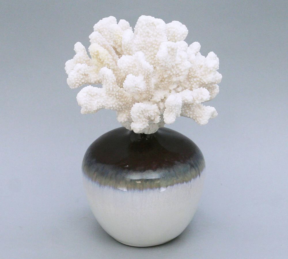 Cauliflower Coral On Reactive Glazed Vase