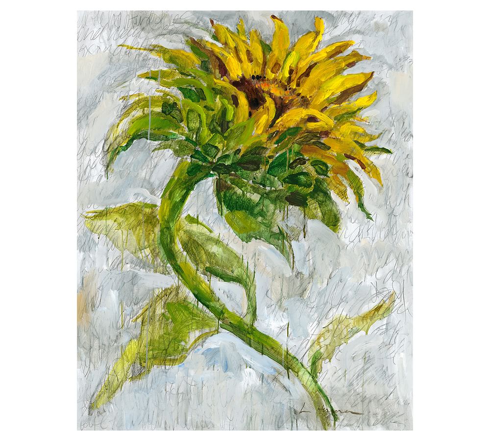 Sunflower Study by Lauren Herrera