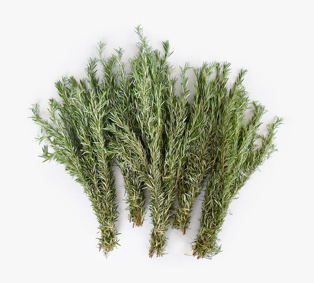 Live Rosemary Bunches