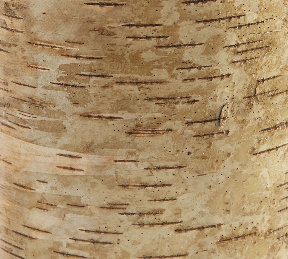 Premium Flickering Flameless Wax Pillar Candles Textured Birch