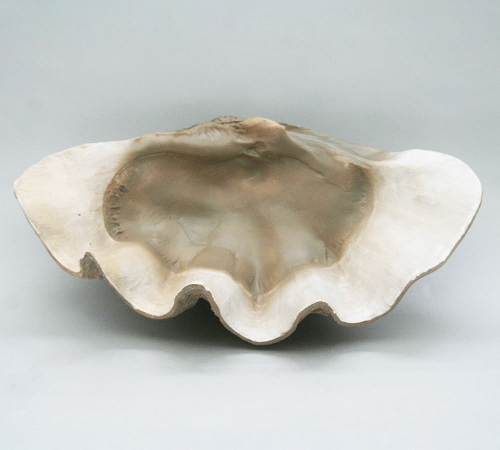 Fossilized Clam Decorative Object