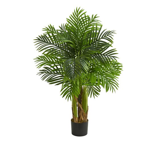 Kentia Faux Palm Tree | Pottery Barn