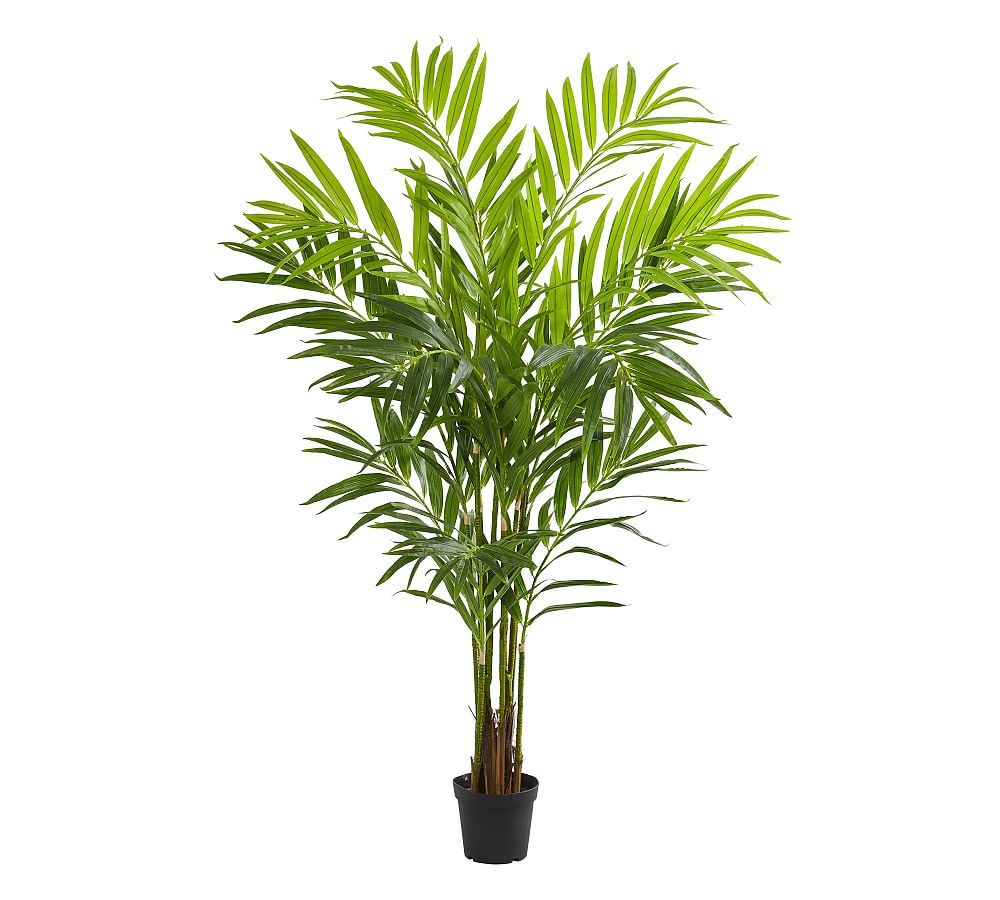 King Faux Palm Tree Pottery Barn