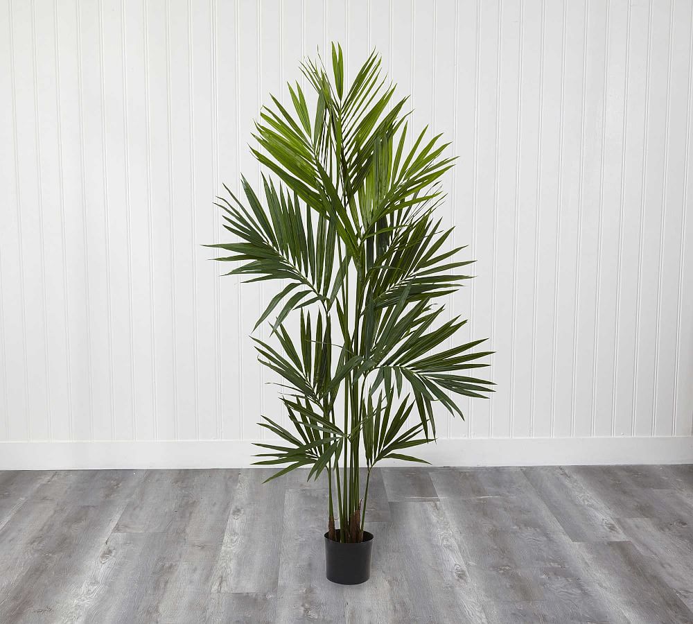 Faux Kentia Palm Silk Tree Pottery Barn