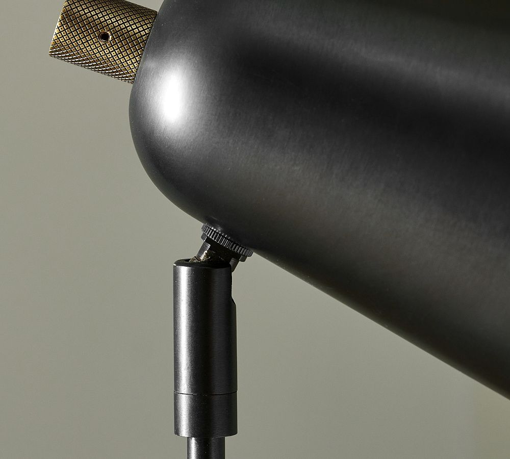Hayes Metal Adjustable Task Floor Lamp