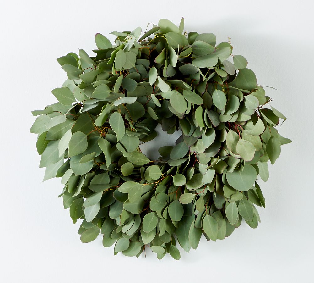 Fresh Silver Dollar Eucalyptus Wreath & Garland Pottery Barn