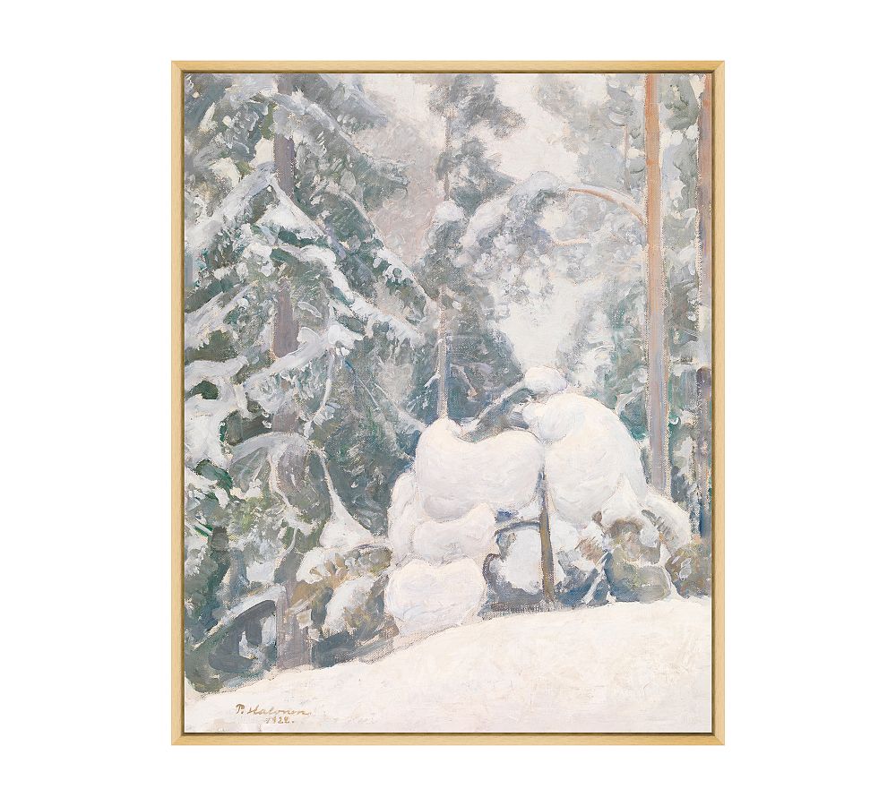 Snow Covered Trees Framed Print