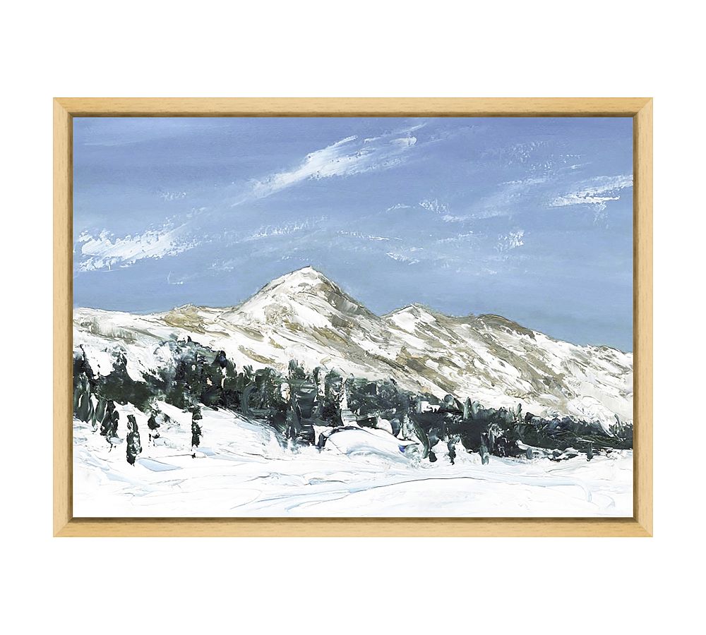 Winter Valley Framed Print