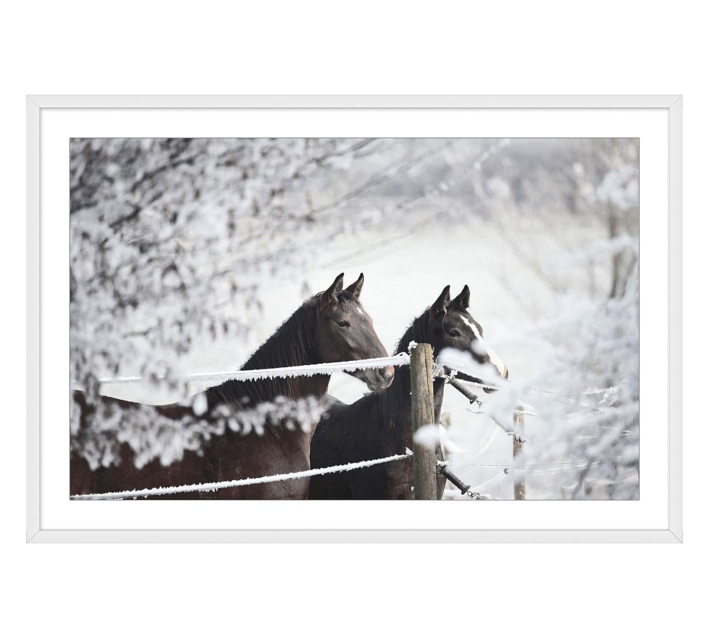 Horses In Snow Framed Print