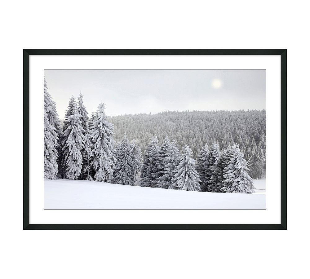 Frost Forest Framed Print