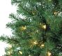 Montana Pine Faux Christmas Tree - 7' | Pottery Barn