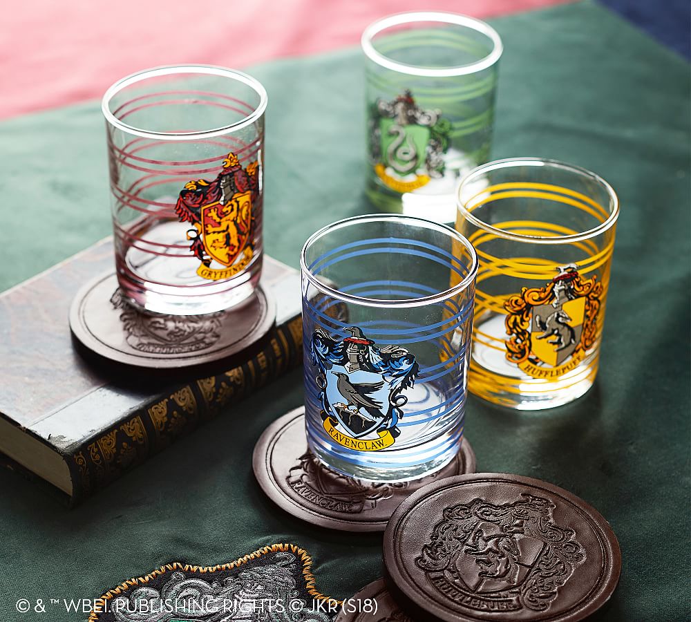 Harry Potter Frosted Can Glass with Lid + Straw — LOCAL FIXTURE