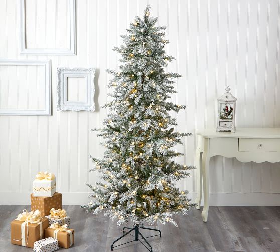 Lit Slim Flocked Nova Scotia Spruce Faux Christmas Tree | Pottery Barn