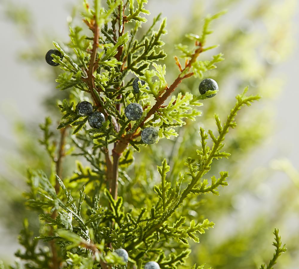 Faux Juniper Tree with Berries Pottery Barn