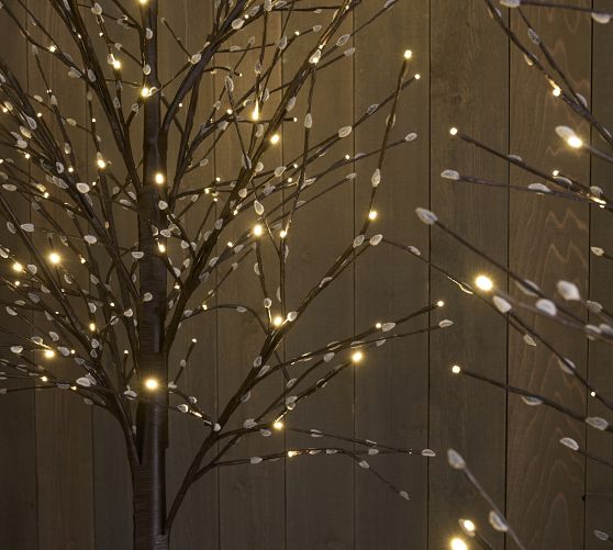 Lit Outdoor Willow Twinkling Twig Tree Pottery Barn