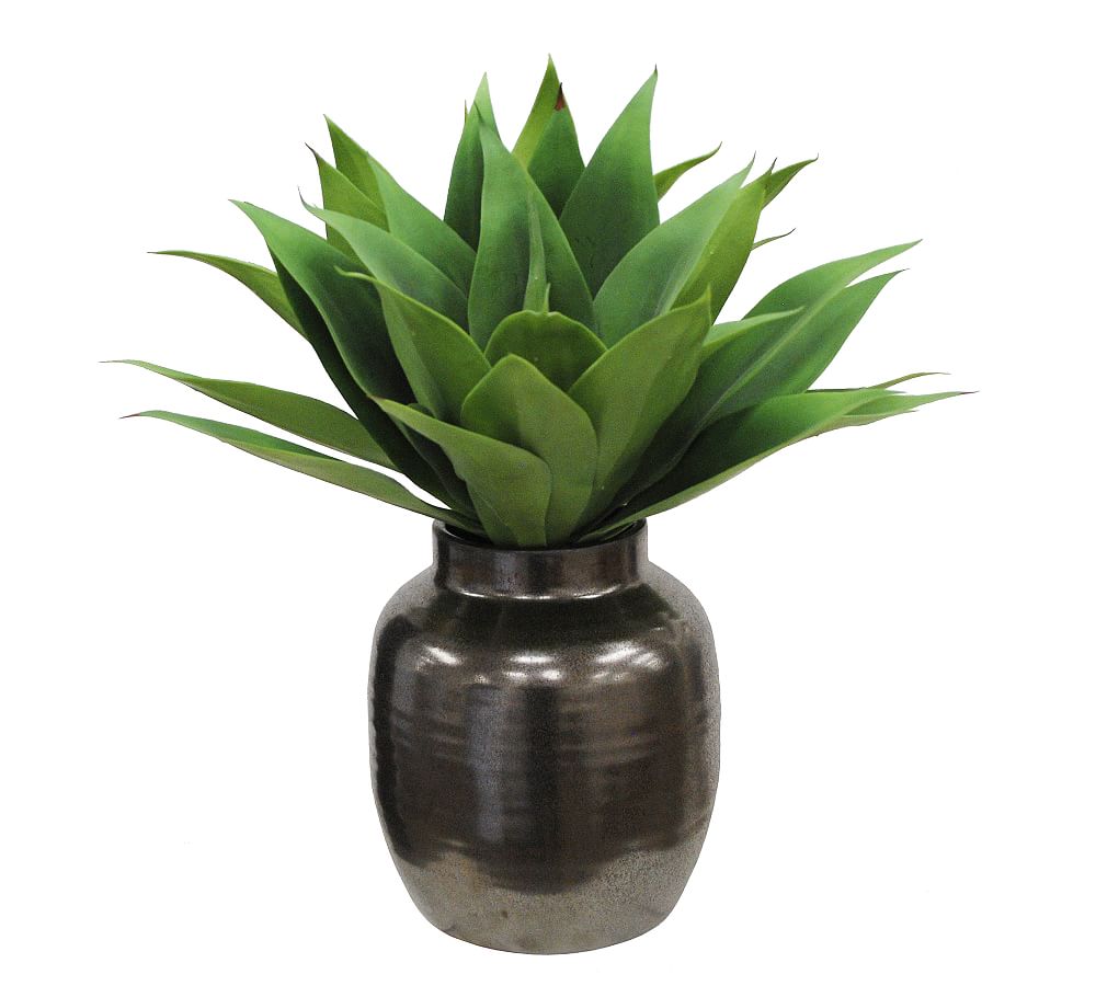 Faux Aloe In Pot Pottery Barn