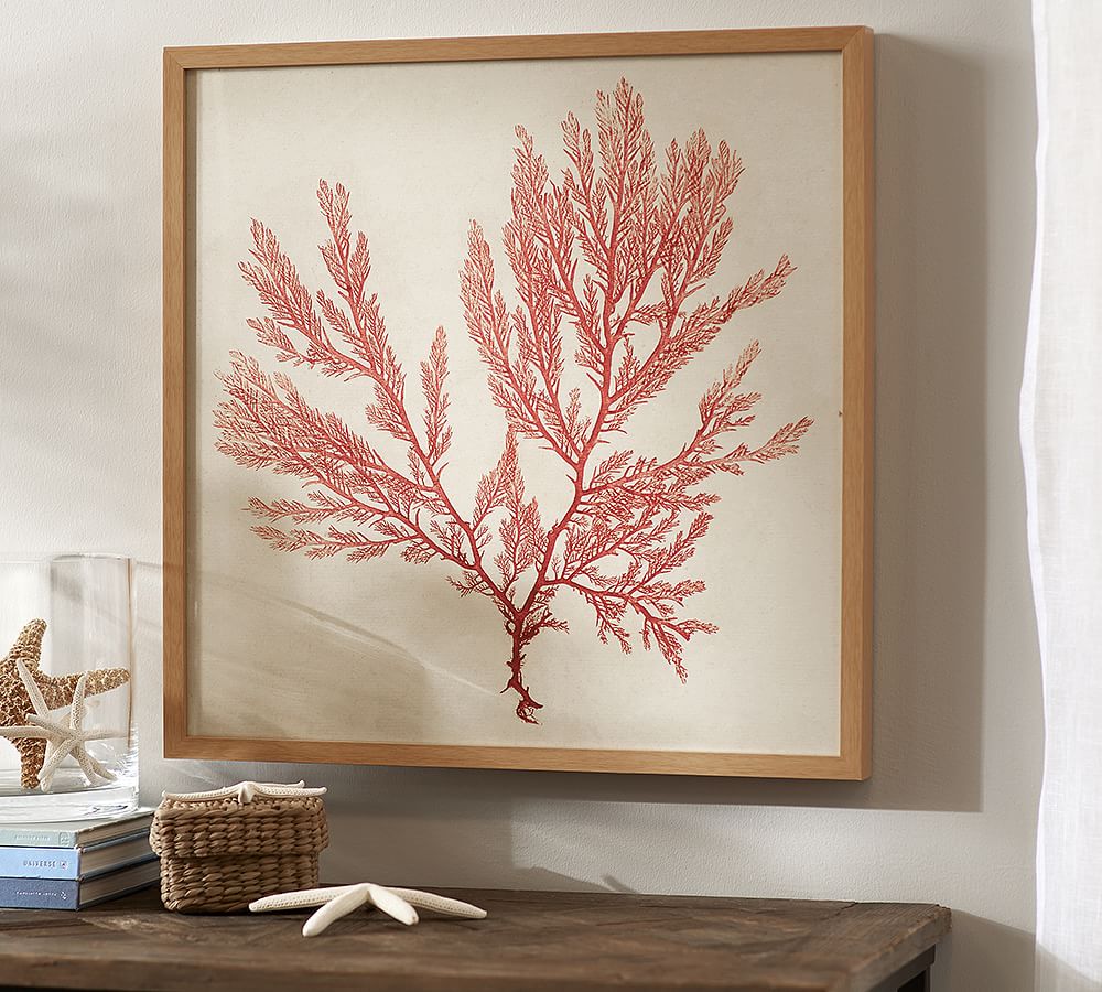 framed coral prints