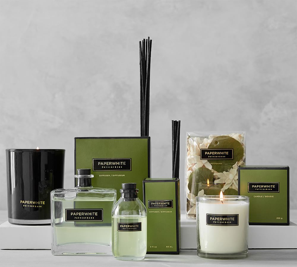 Garden Shoppe Scent Collection - Olive Leaf & Thyme