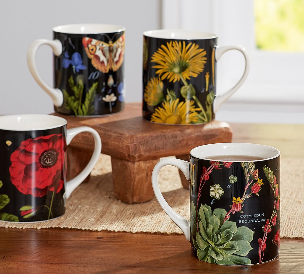 Botanical Coffee Mugs, Mixed Set of 4 | Pottery Barn