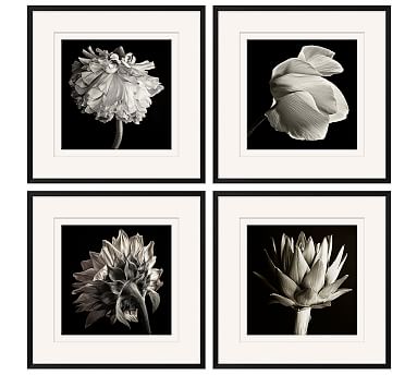 black and white framed flower pictures