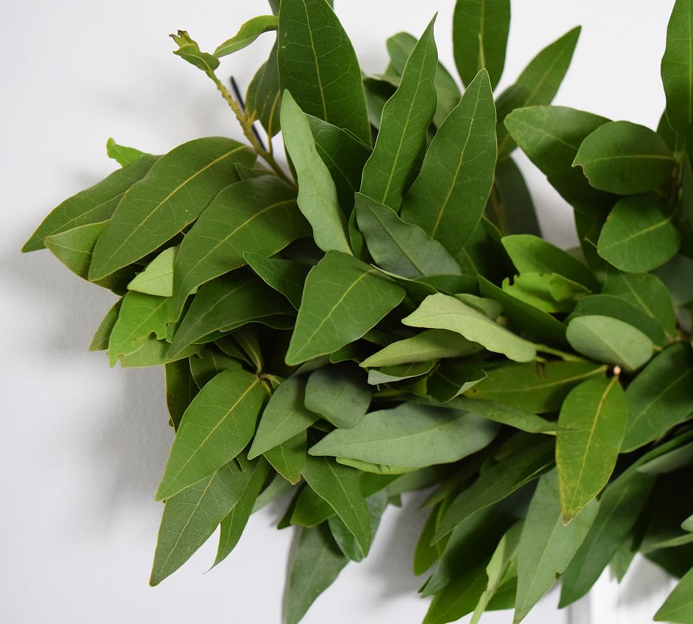 Fresh Bay Leaf Garland Pottery Barn