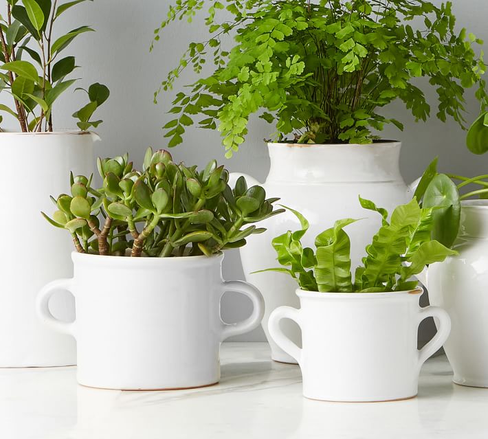 https://assets.pbimgs.com/pbimgs/ab/images/dp/wcm/202332/0839/open-box-white-ceramic-planter-with-handles-1-o.jpg