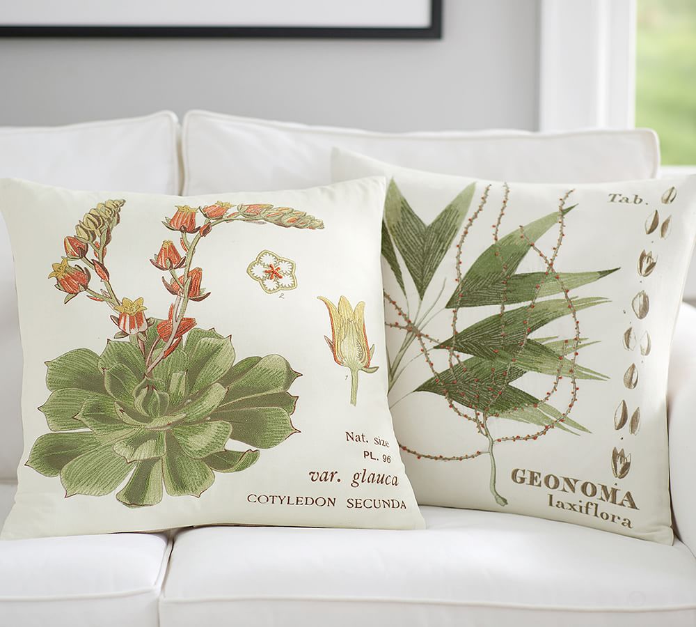 Pottery Barn Botanical Embroidered Pillow Cover & Down Pillow
