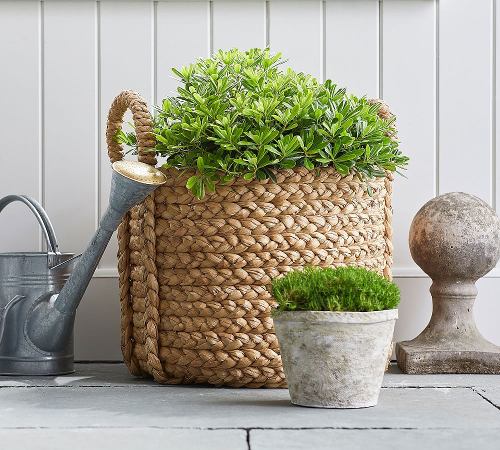 Basket Pot