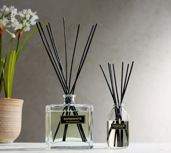 Signature Home Scent Collection Paperwhite Pottery Barn