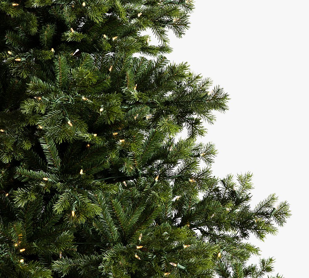 Lit Lakeshore Spruce Faux Christmas Tree Pottery Barn