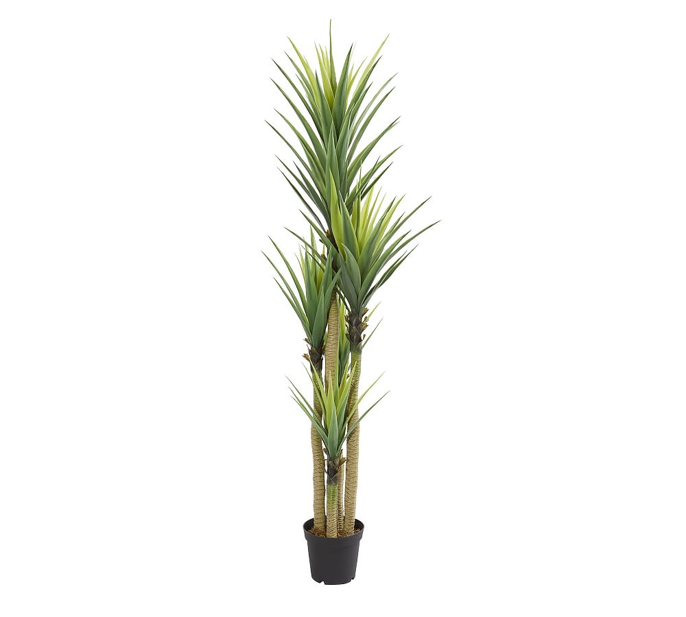 TriStalk Dracaena Faux Plant Pottery Barn