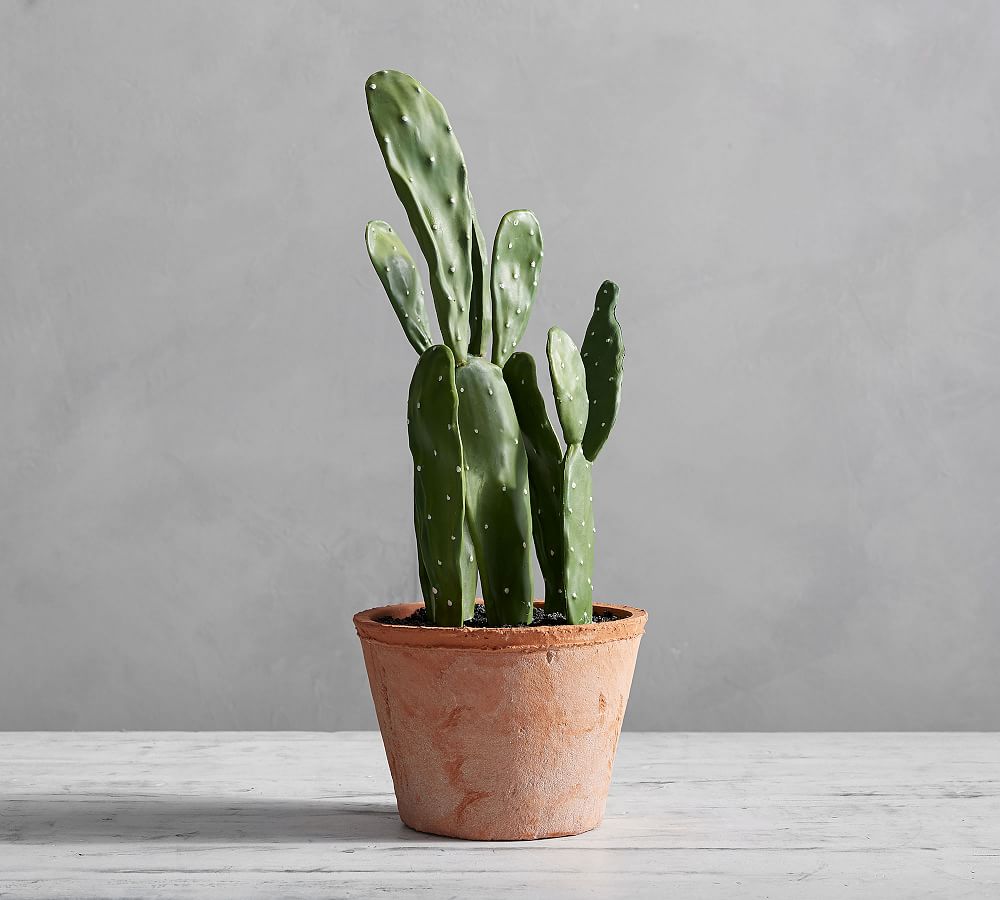 Faux Potted Opuntia Cactus Pottery Barn