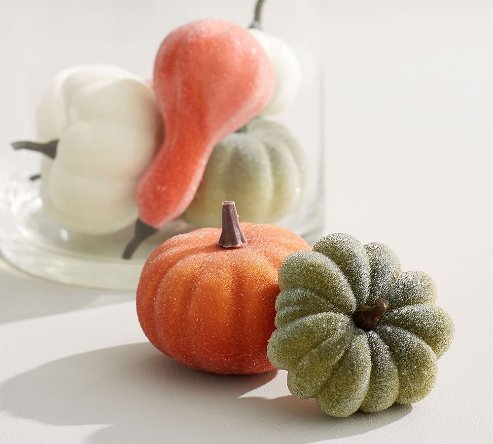 Sugared Pumpkin Vase Filler | Pottery Barn