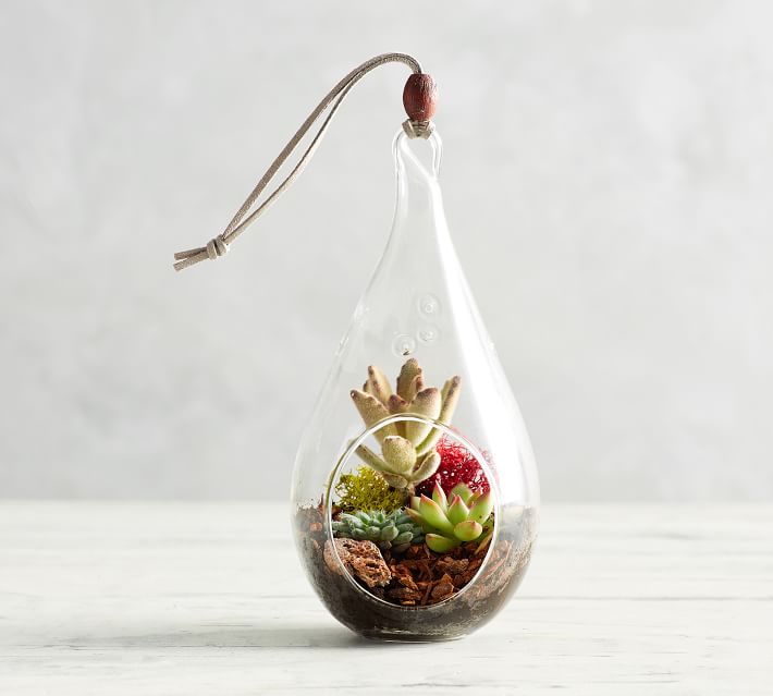 Fresh Hanging Teardrop Terrarium