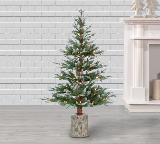 Lit Natural Cut Frosted Pine Faux Christmas Tree | Pottery Barn