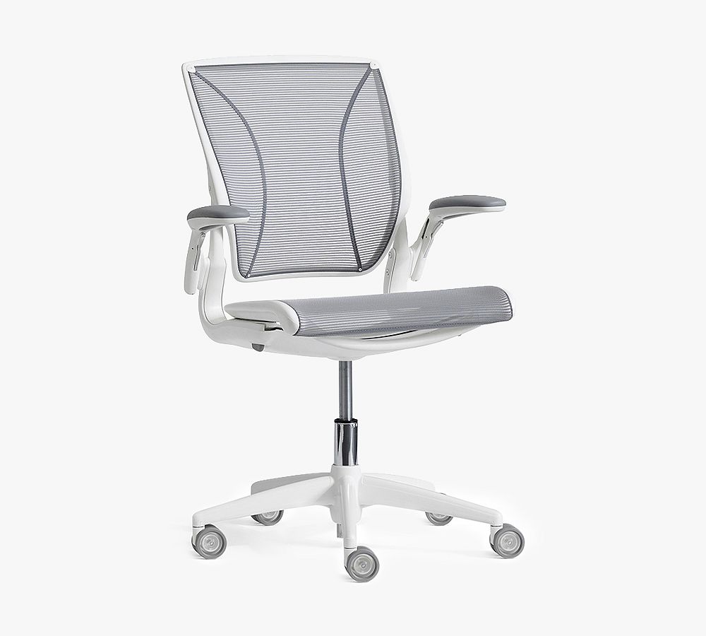 Humanscale® Diffrient World Mesh Swivel Desk Chair | Pottery Barn