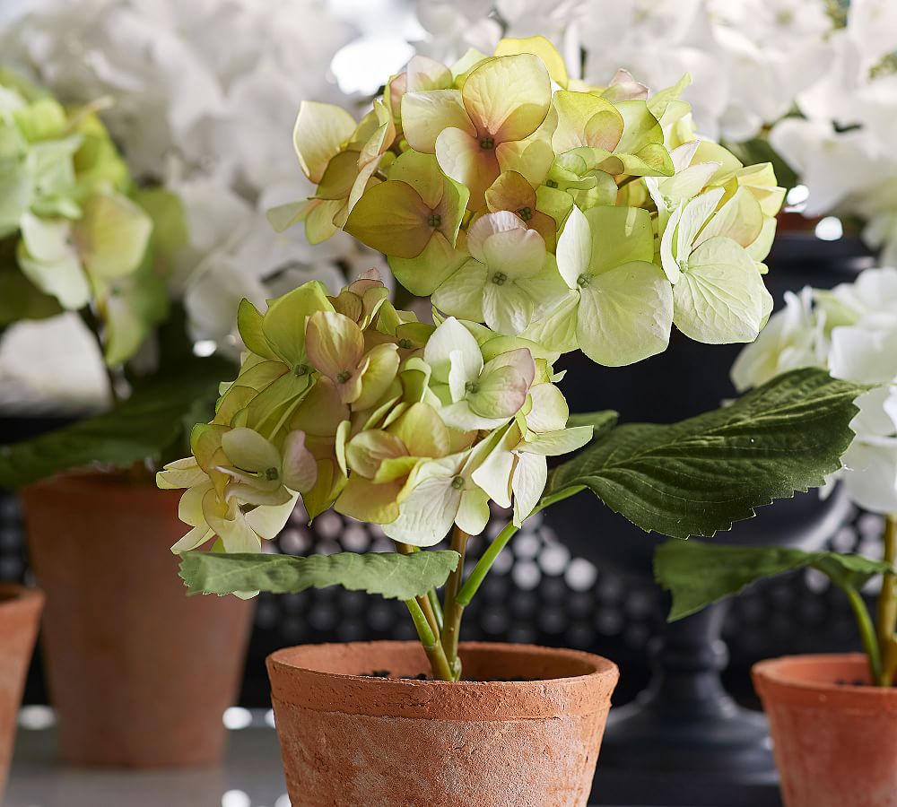 Faux Potted Hydrangea Green Pottery Barn