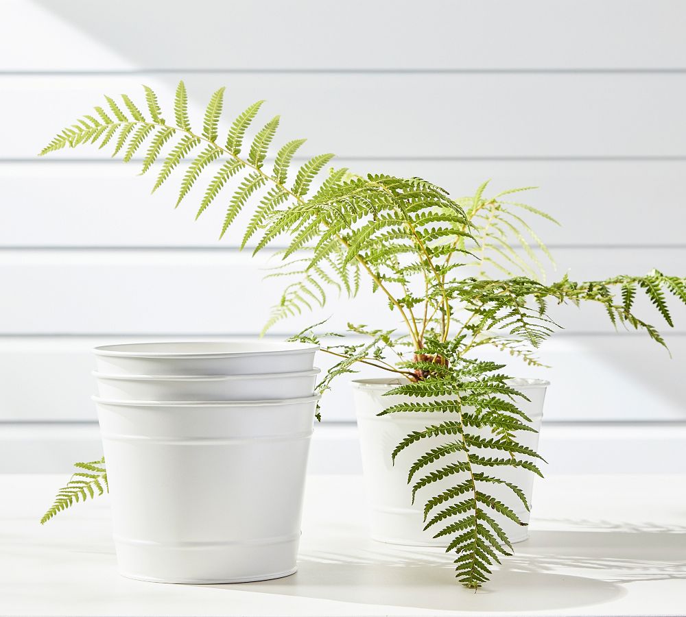 Belize Tall Bowl Outdoor Planters - Set of 2