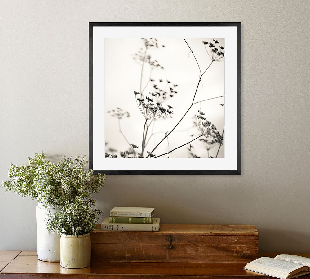 Nature's Drawing by Lupen Grainne | Pottery Barn