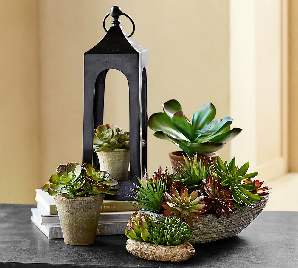 Faux Potted Jade Pottery Barn